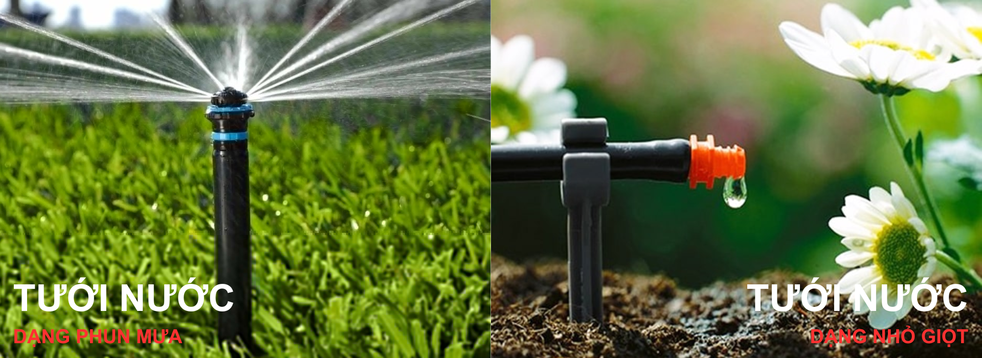 Các loại hệ thống tưới nước sân vườn tự động